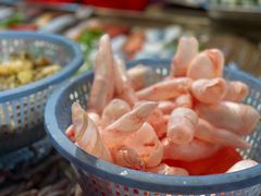 鱼泡-老三鱼仔店