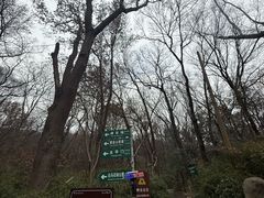 -紫金山天文台