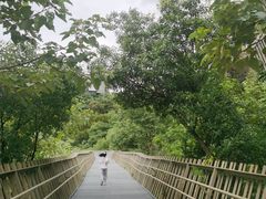 -福道
