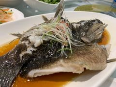 -光明邨大酒家(汇阳广场店)
