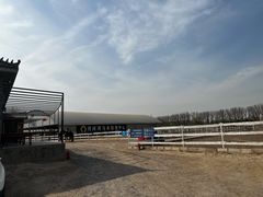 -月河湾马术俱乐部(朝阳店)