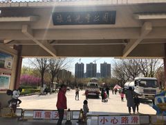 -张店儿童公园