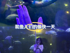 -白鹿仓冰雪海洋世界