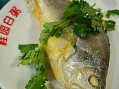 -桂园白粥·潮汕老味道