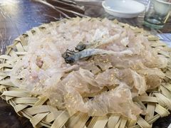 -官塘鱻鱻鱼生