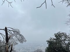 -紫金山山顶公园