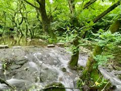 -东海大峡谷