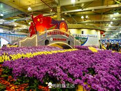 -东南花都花博园