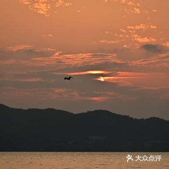 暴走10km，院士中心小普陀韩岭老街 拍照留存 