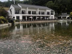 景观位-谷丰健康凤贤居酒家