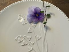 -Jo's Garden