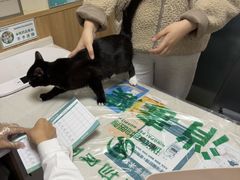 -瑞派宠物医院·24h·骨外科·皮肤科·全科宠物医疗转诊中心(沈阳浑南院)