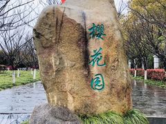 -高东镇樱花园