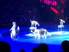 -珠海横琴长隆《卡卡虎奇遇记》