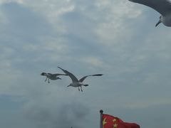 -海驴岛(荣成市)