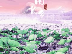 -丁香湖公园