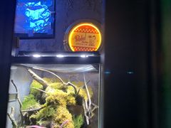 -天地無用GAME BAR