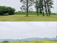 -良渚古城遗址公园