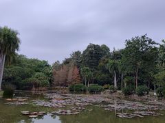 -中国科学院西双版纳热带植物园