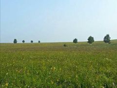 -塞罕坝国家级自然保护区