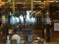 门面-more than meow吴止猫主题餐厅(承德 中船汇店)