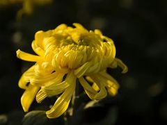 -汇龙潭