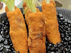 -丁老爷子苏香圆