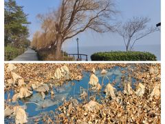 -阳澄湖半岛旅游度假区