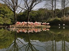 -上海野生动物园