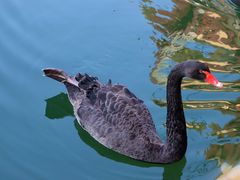 -茵特拉根酒店·西餐厅