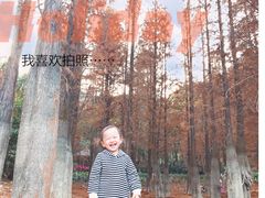 -广州市帽峰山景区
