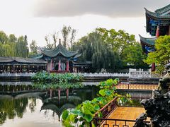 -MAP CHA普洱茶馆(翠湖店)