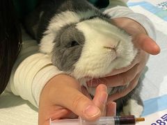 -雨林宠物医院 非犬猫异宠专科