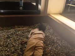 -海韵之星邮轮水会(明发商业广场店)