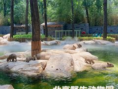 -北京野生动物园