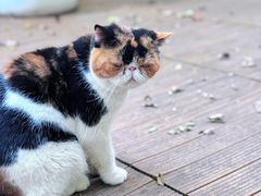 -谷咖啡·鲜花绿植花园餐厅