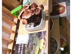有机松香菇-鲜货俚鲜火锅(青果路店)