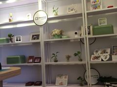 -真我樣照相馆·身份证·证件照·外拍(环球港店)