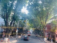 -广州都市观光巴士(粤陶巴)