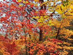 -丹东天桥沟景区