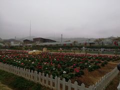 -盈香心动乐园