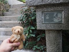 -广州兰圃