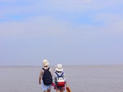-奉贤海滩