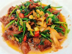 香菜摔打鲜牛肉-桂满陇·手作小笼包&江南叫花鸡(中山公园店)