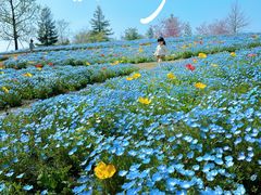 -上海辰山植物园
