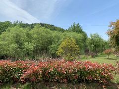 -石塘人家