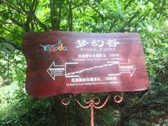 -呀诺达热带雨林