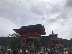 -有栖山 清光院 清水寺