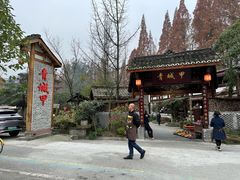 -青城甲(青城山店)