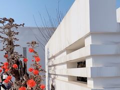 -石家庄市植物园